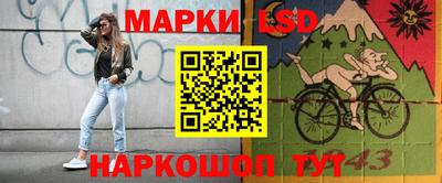 шишки Гагарин