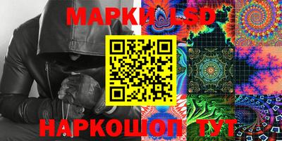 a pvp Гатчина