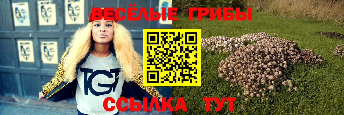 Галлюциногенные грибы мицелий  где купить наркоту  Псилоцибиновые грибы мухоморы  Новочебоксарск  Вход с VPN 