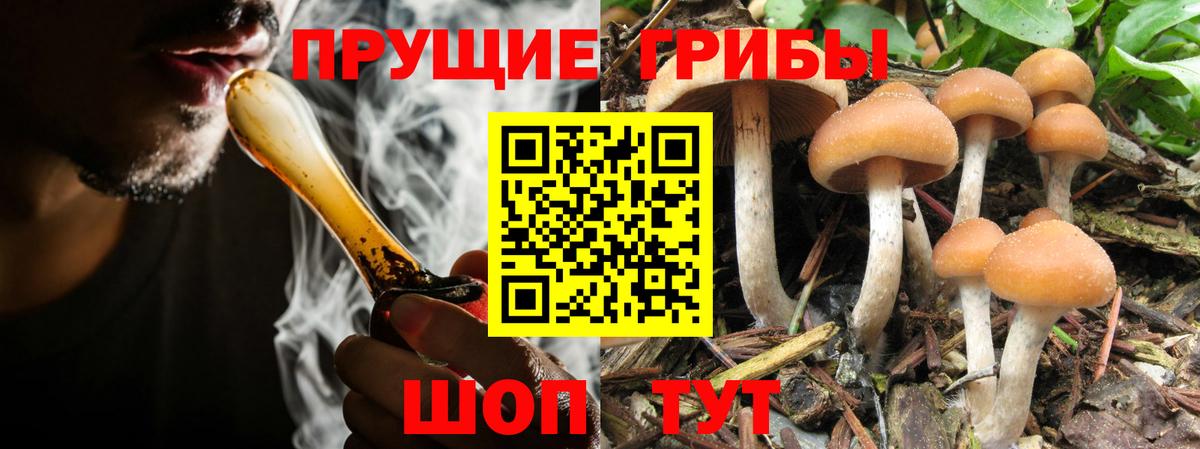 Псилоцибиновые грибы GOLDEN TEACHER Новочебоксарск